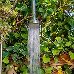Villa Carmen Garden & Parking